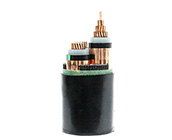 銅芯交聯聚乙烯絕緣聚氯乙烯護套電纜 YJV 0.6/1KV